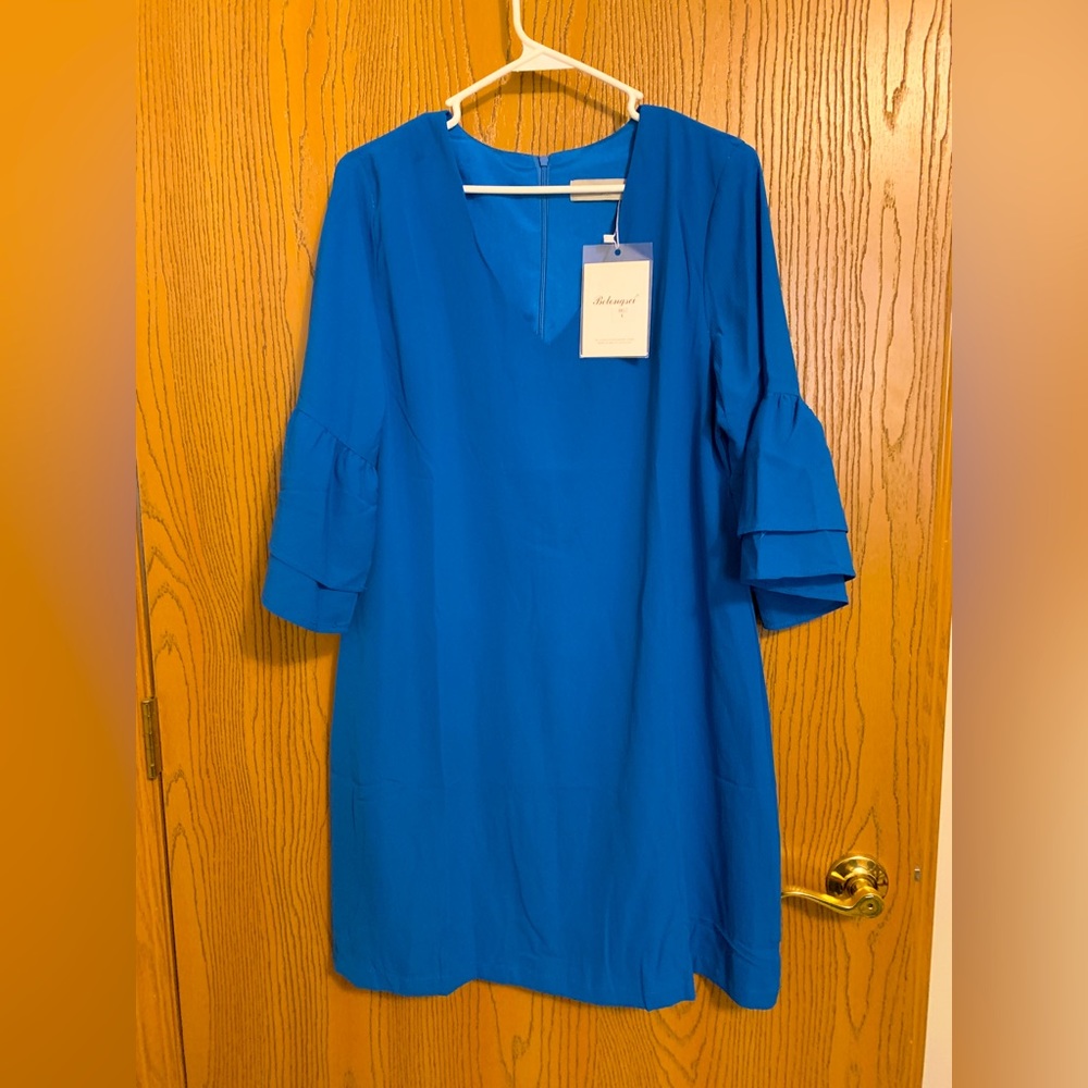 NWT Blue flows sleeve dress with back zip